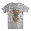 PINEAPPLE EXHD53